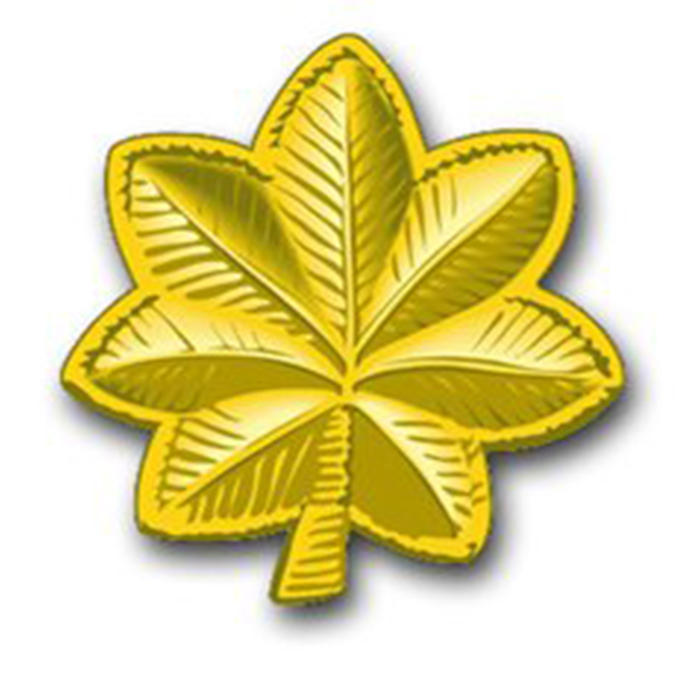 Uniform Sleeve Braid Ranks